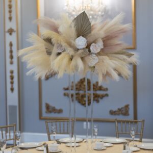 Pampas on Clear Harlow Stand