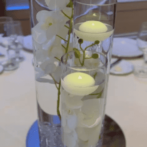 Romance white orchids